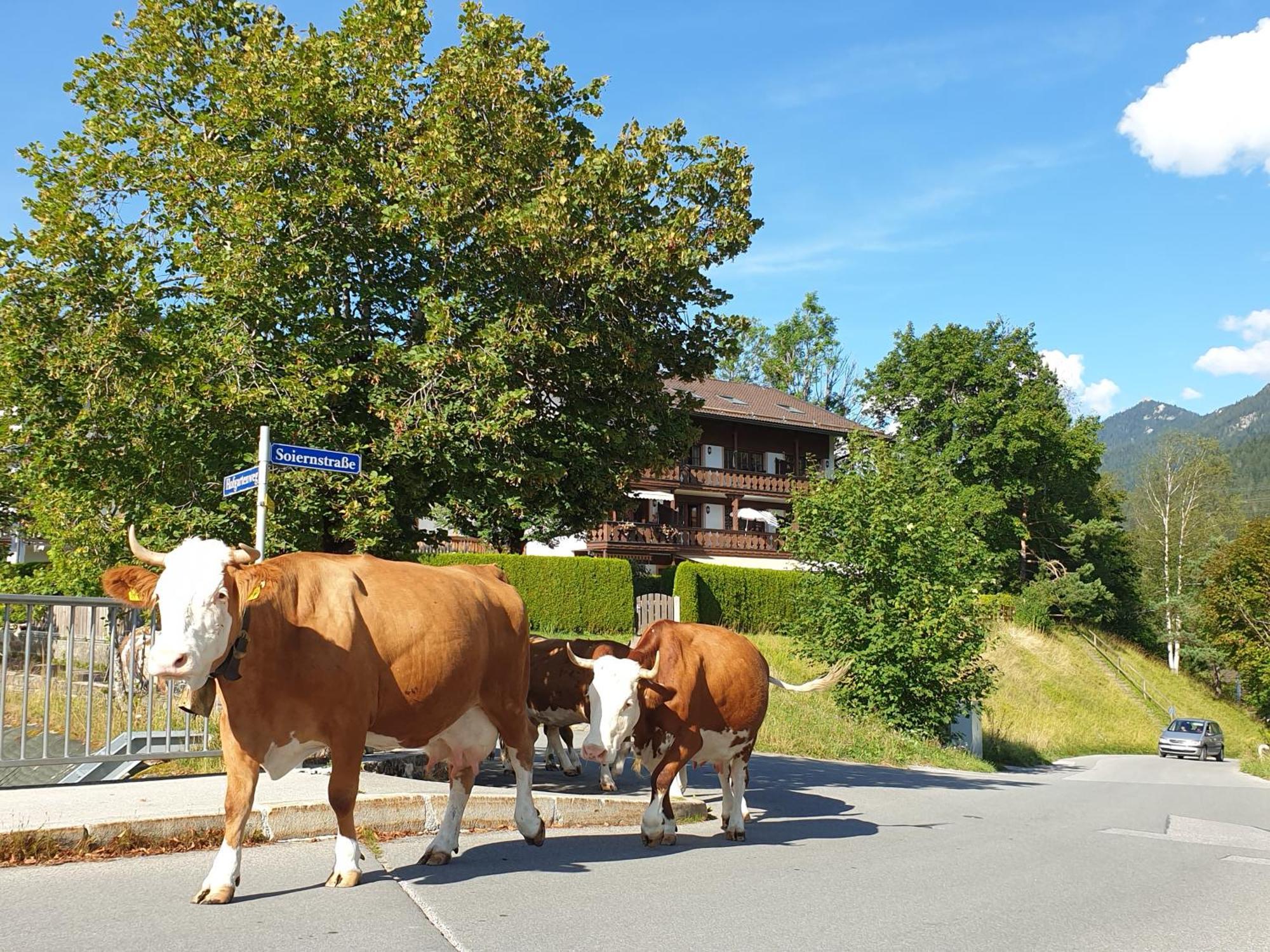 Haus Abendsonne Familie Druxes Apartment Krün Екстериор снимка